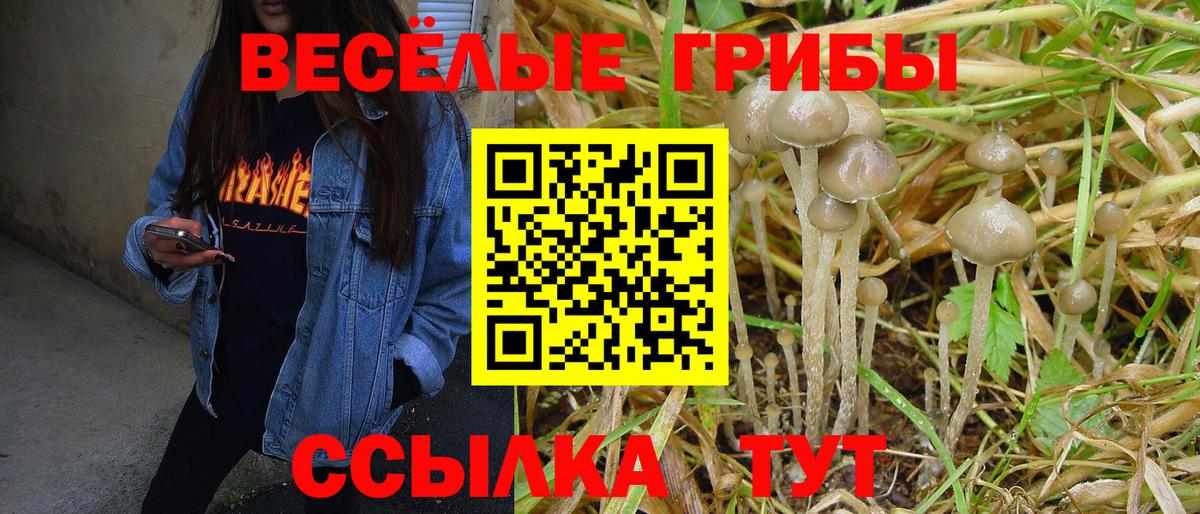 как найти закладки  Псилоцибиновые грибы MAGIC MUSHROOMS  Псилоцибиновые грибы Cubensis  Вход с VPN  Армавир 