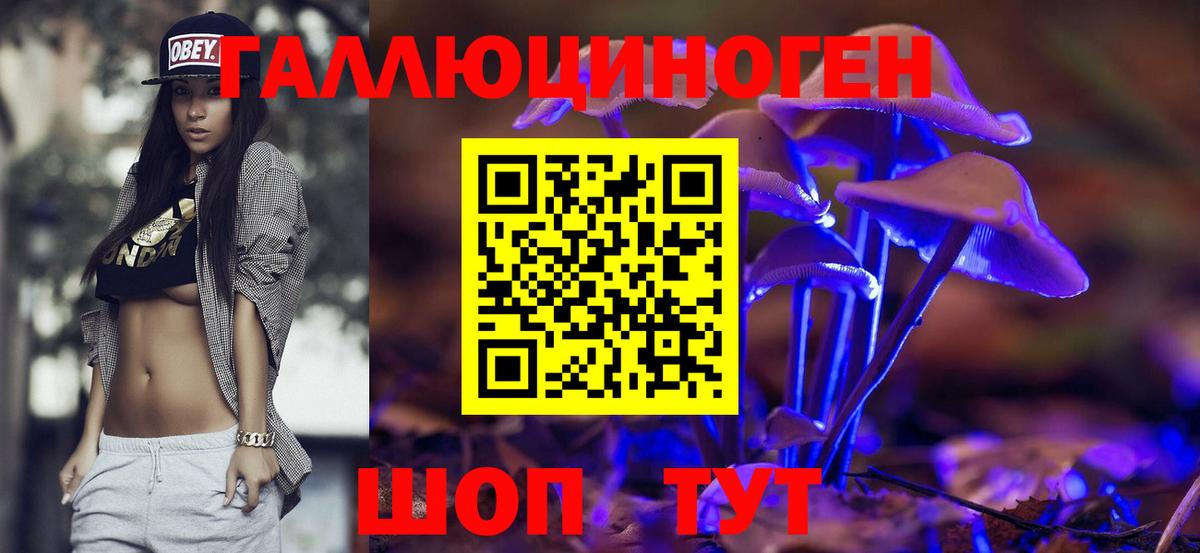 Галлюциногенные грибы Psilocybine cubensis Армавир